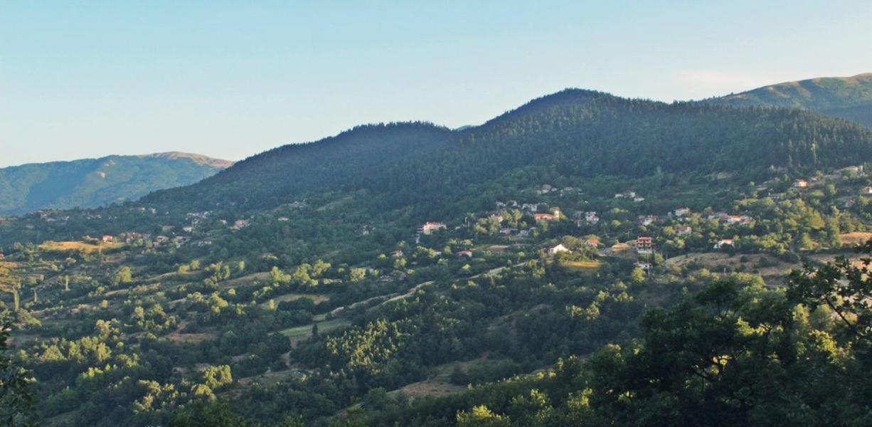 Omilaia Hotel Gardiki ภายนอก รูปภาพ